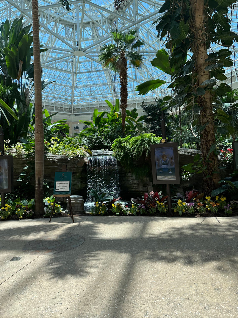 Gaylord palms resort